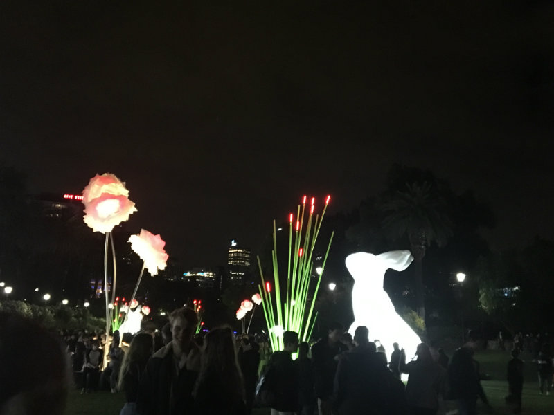 white night, bunnies and flowers