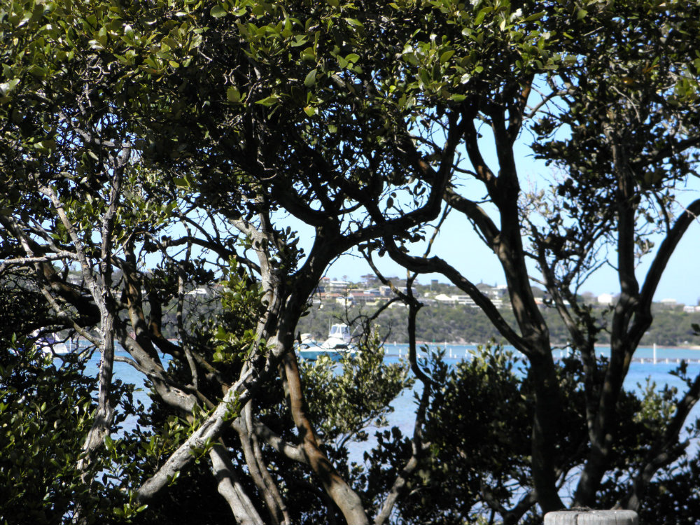 merimbula lake, saltwater organics, visit NSW, home