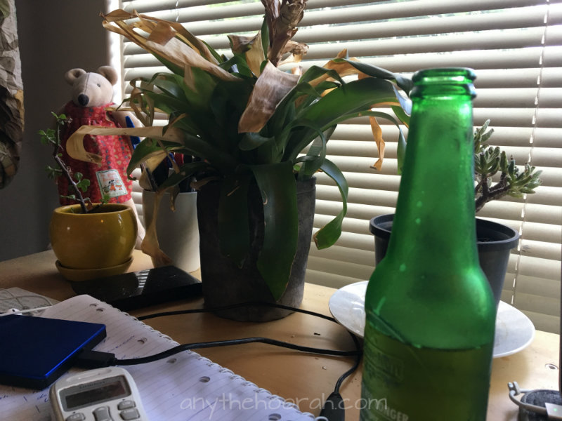 beer, plants, nini the mouse and office desk - beer and skittles