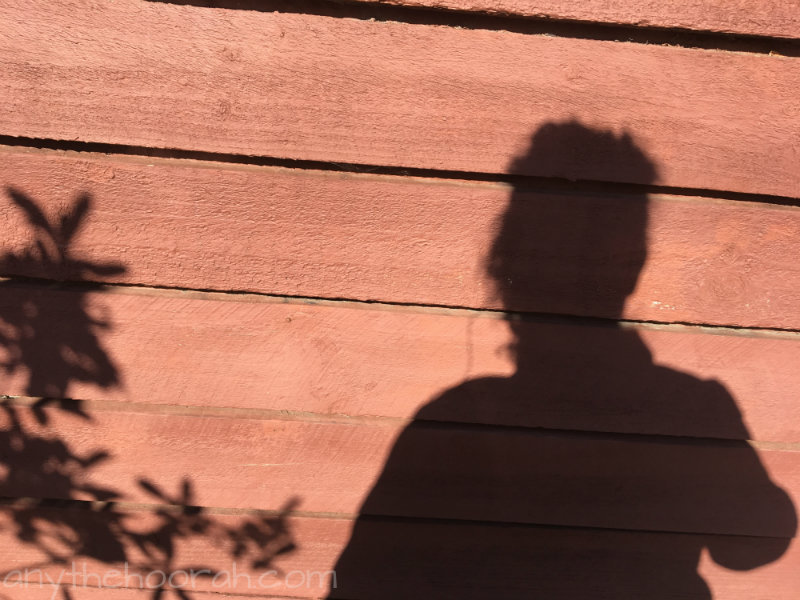 shadow selfie with plants