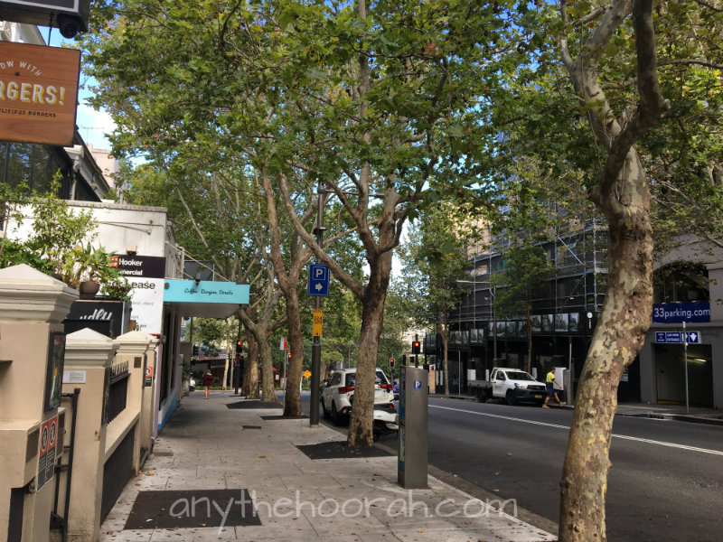 sydney streetscape in darlinghurst