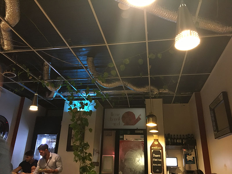 interior of french restaurant with plants and wine in footscray