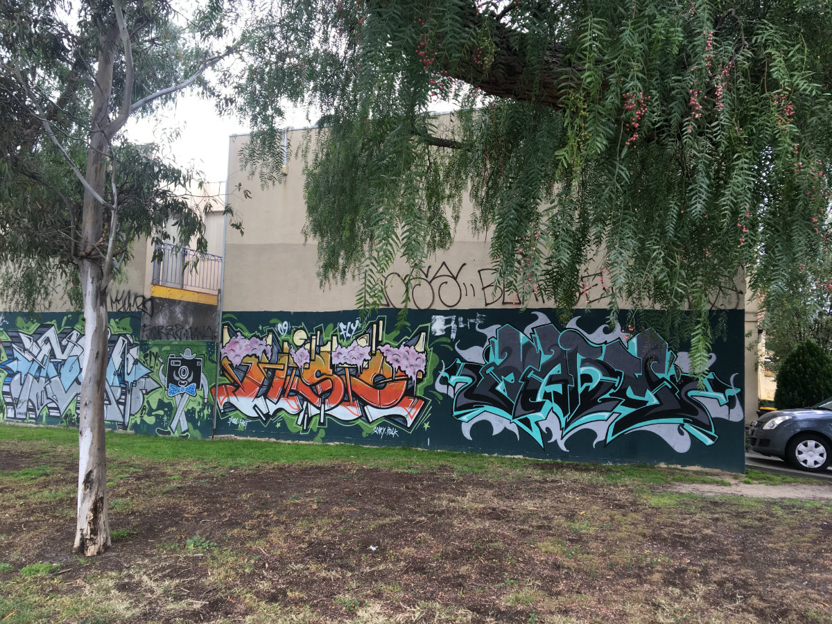 graffiti in lots of variety of colours on walls in collingwood - with tree branches and leaves in the foreground