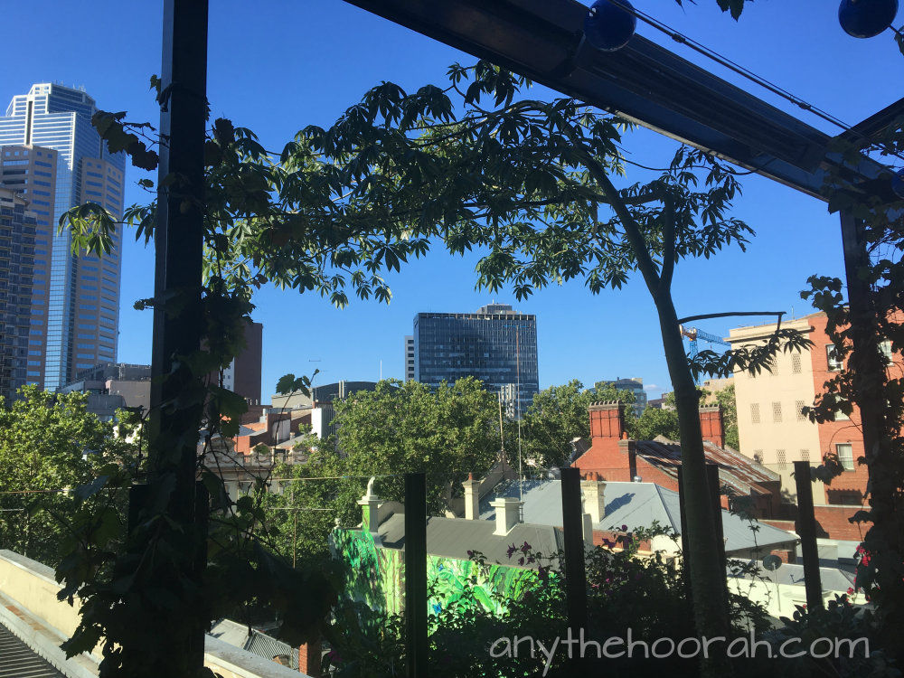 view over the city buildings and trees in the sunshine from loop bar