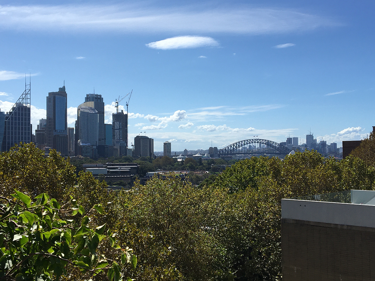 sydney harbour from potts point wow views