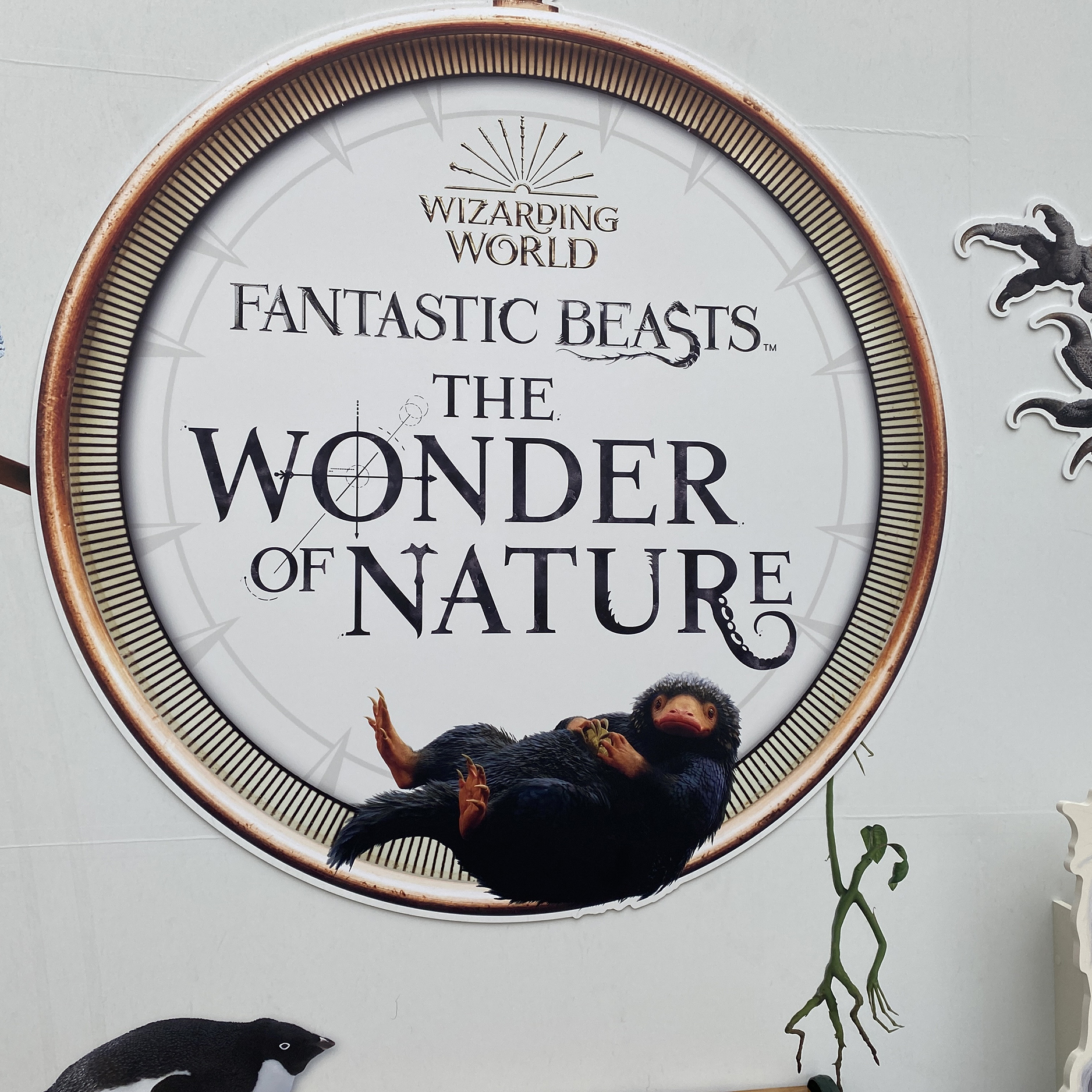 photo opportunity - fantastic beasts and the wonder of nature - photo promo at entrance