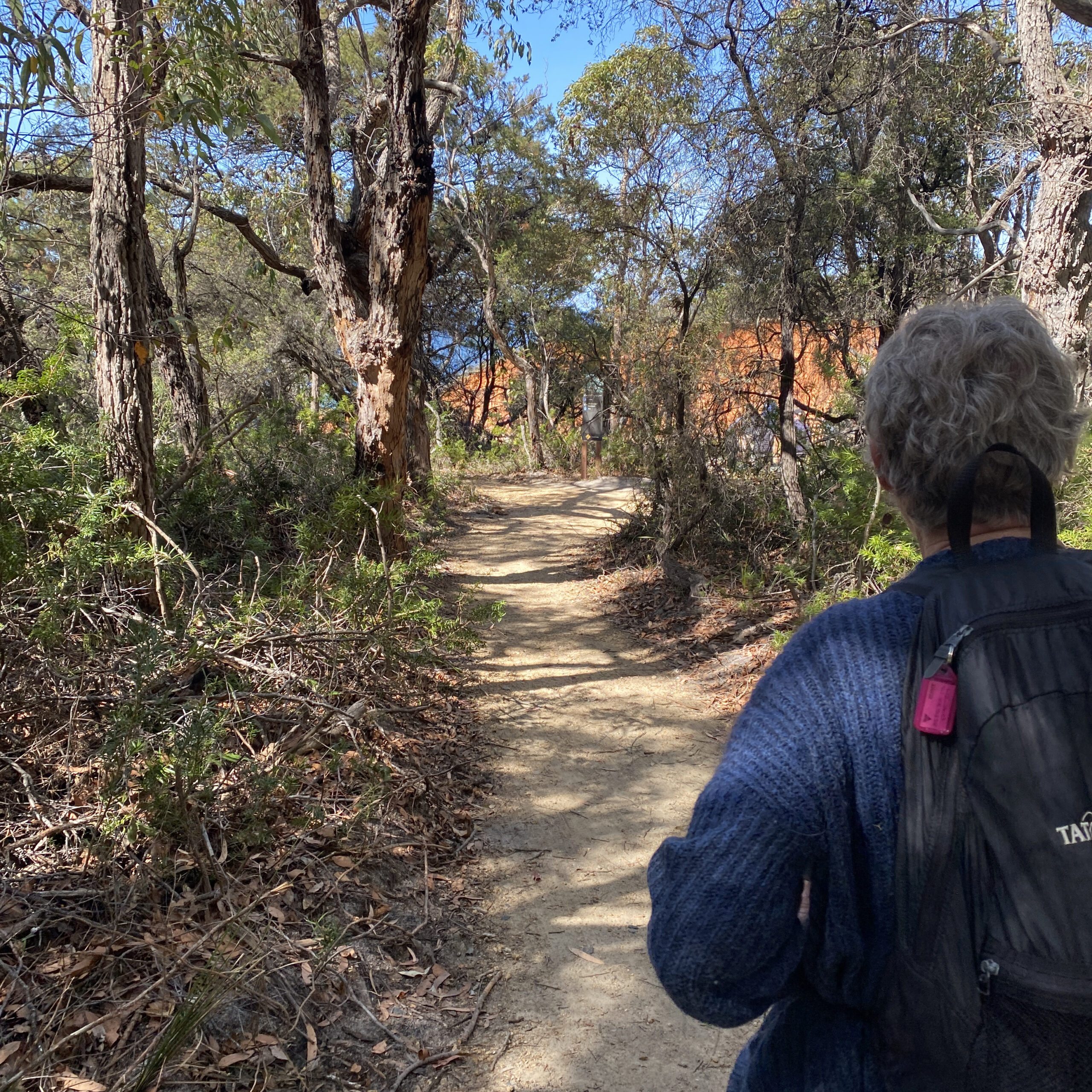 Filtered view of the Pinnacles Eden on a bushwalk (The Pinnacles Loop Walking Track) with mum - you can see the back of my mum and trees filtering view of the pinnacles in the background