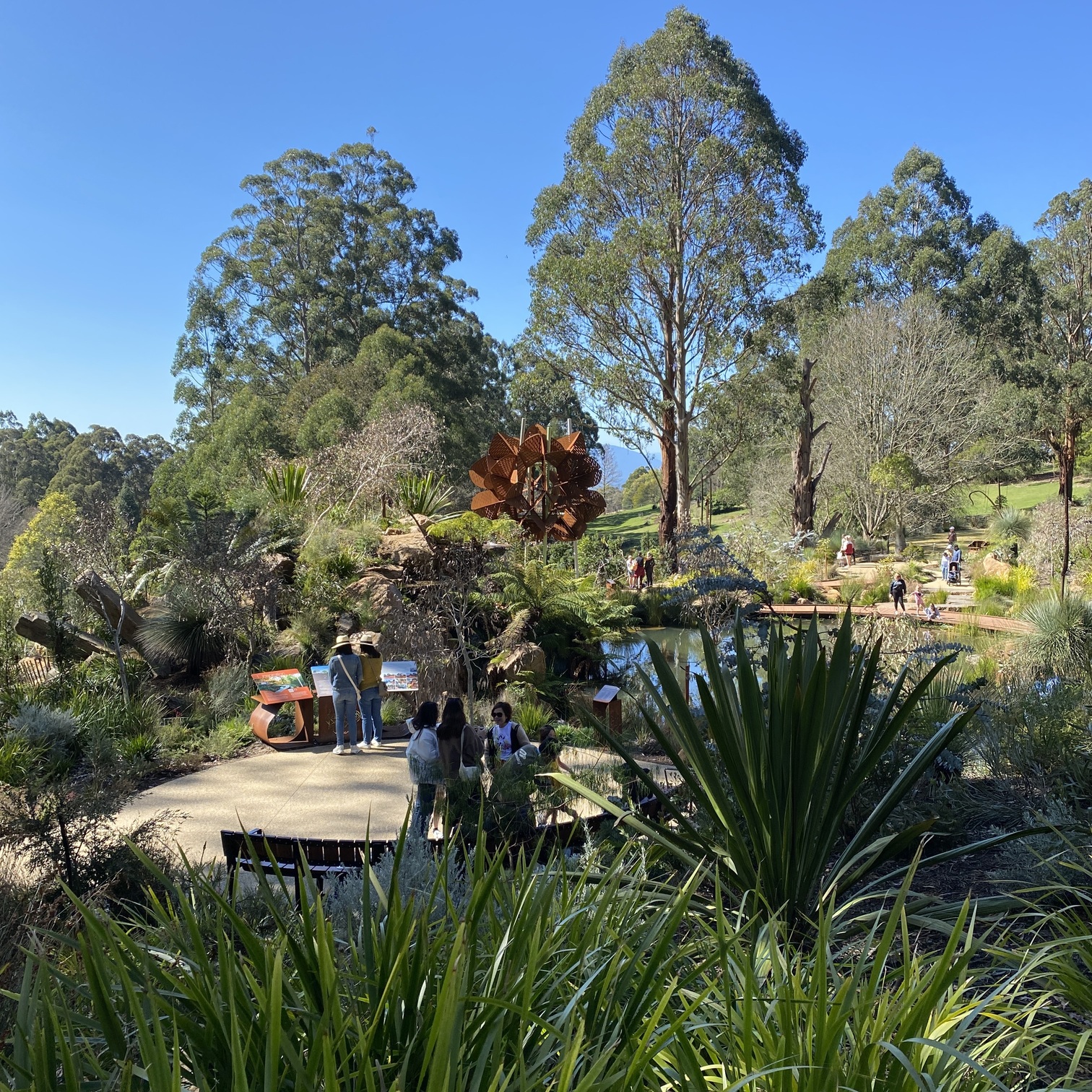 chelsea australian garden - dandenong botanical gardens