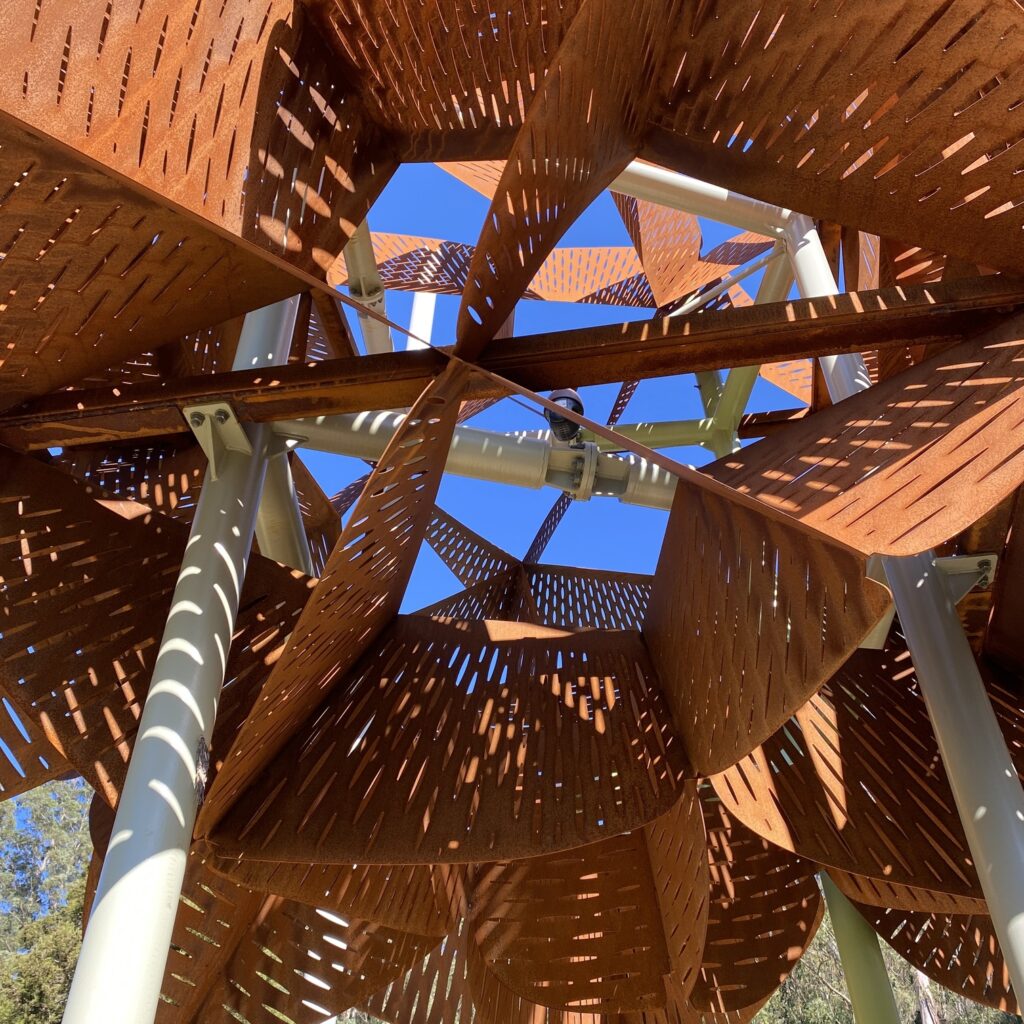 warratah sculpture at chelsea australian garden