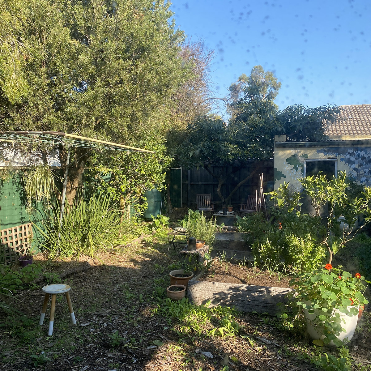 view to garden from dining room window dog sitting in thornbury