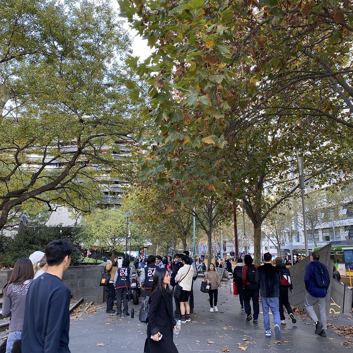 step off the tram in front of the state library - with people and trees everywhere