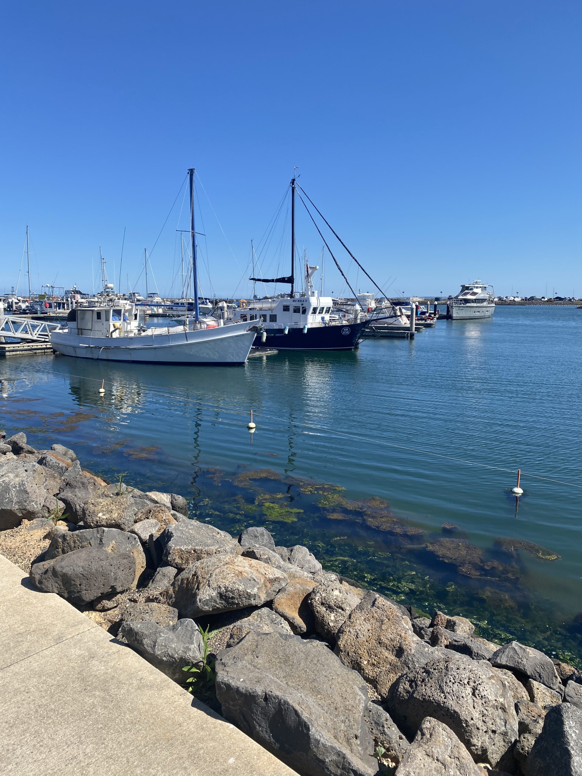 werribee south marina