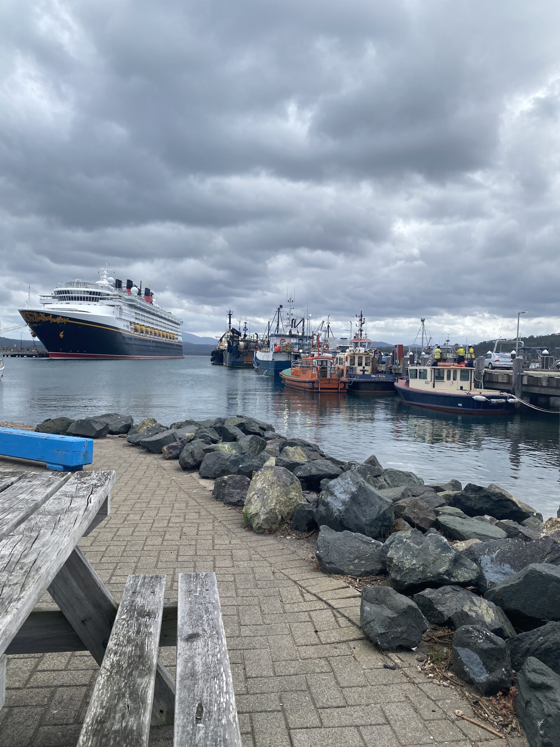 port of eden - cruise ship and wharf with docked fishing boats