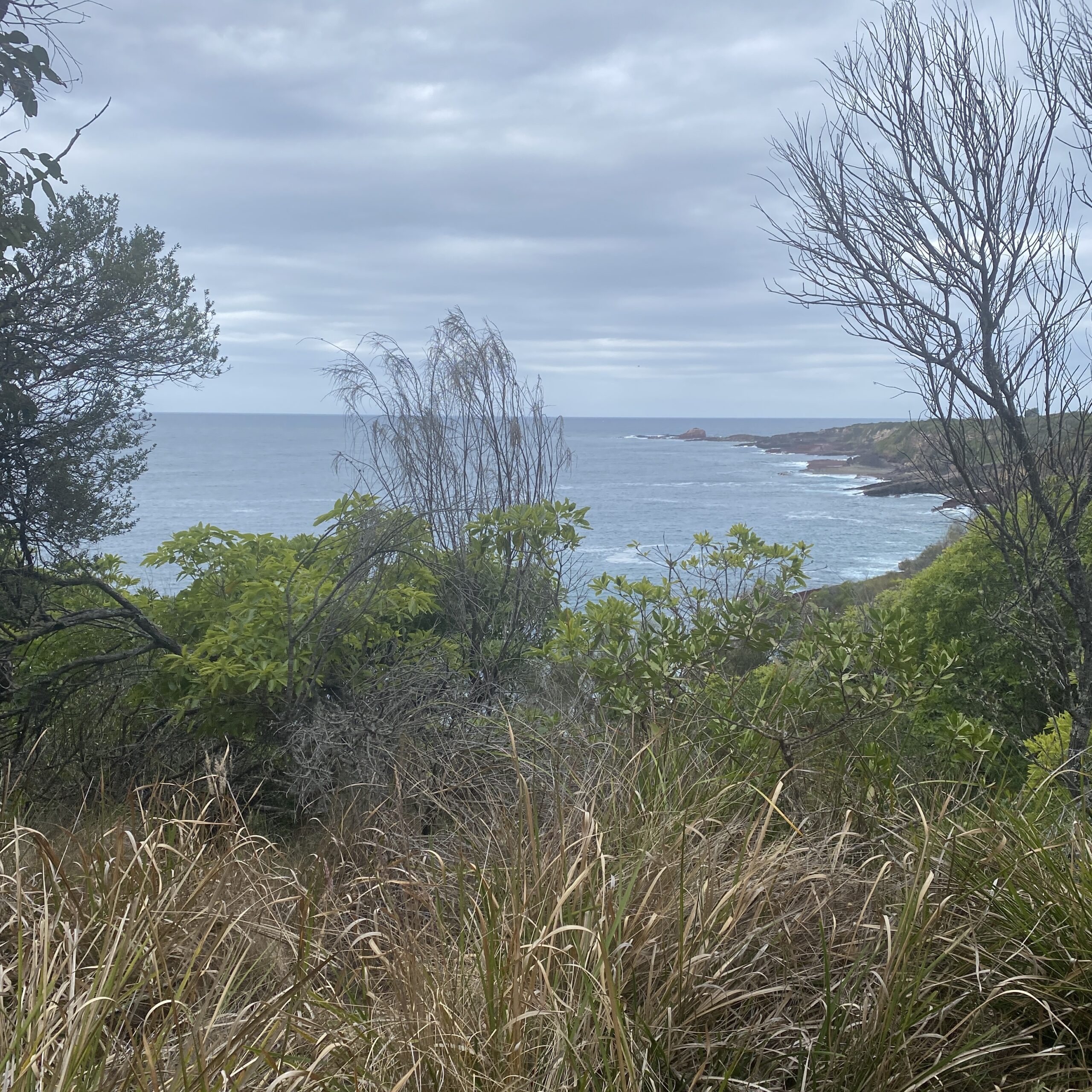 view to Haycocks Point - Beowa National Park